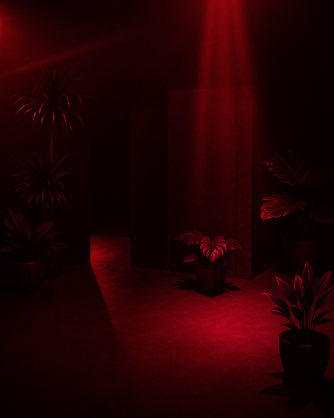 Hunter Club (6)