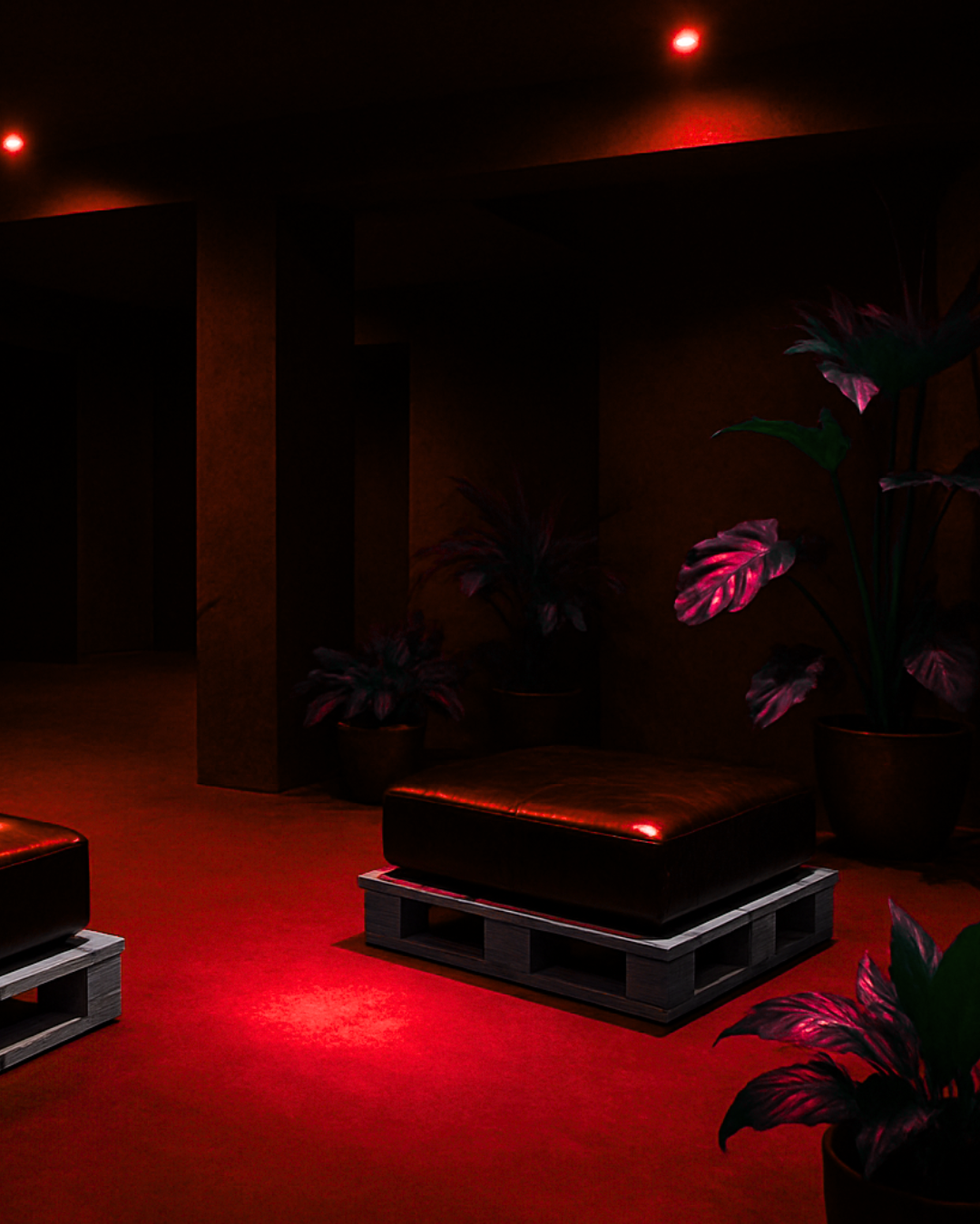 Hunter Club (8)
