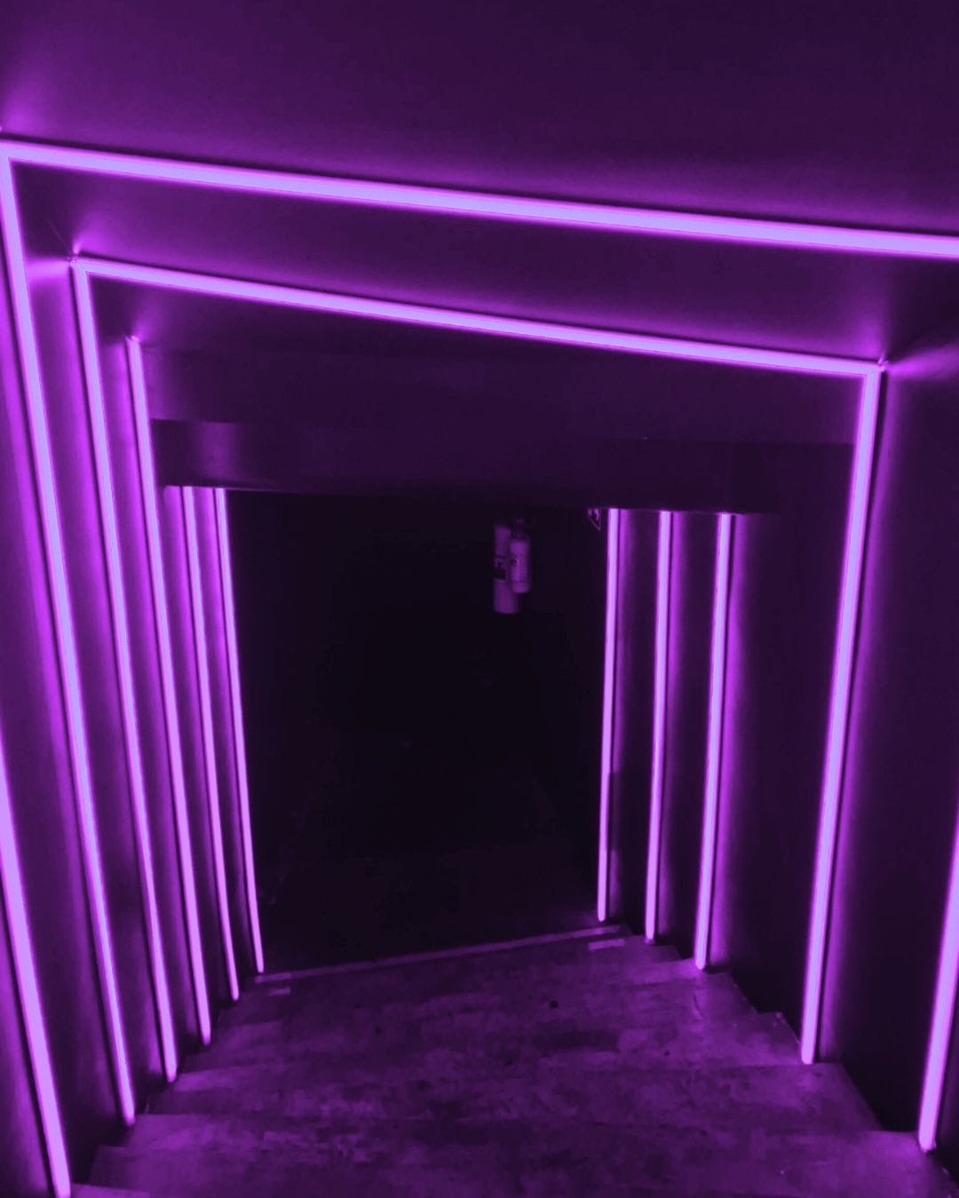 Hunter Club_ Purple (5)