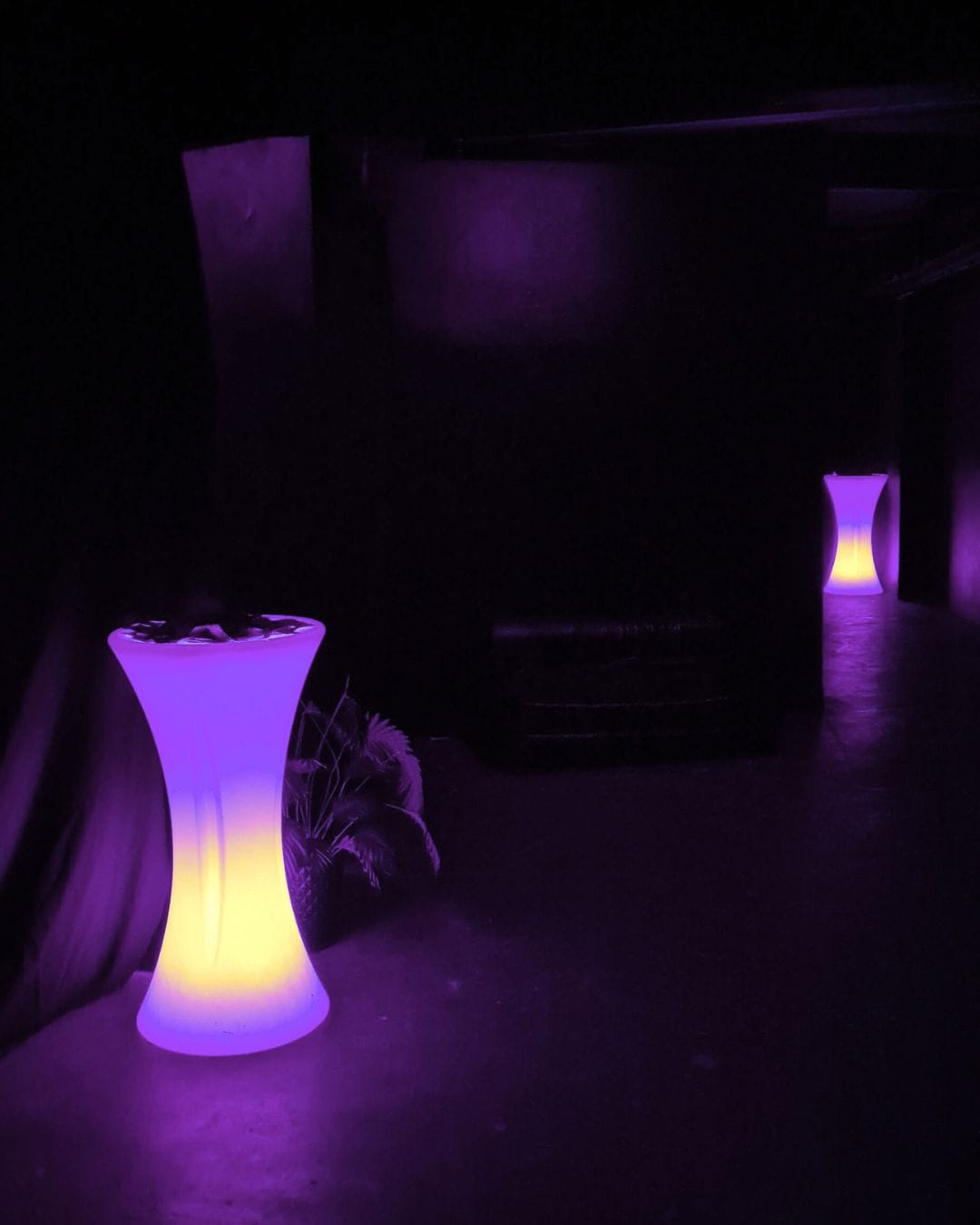 Hunter Club_ Purple (6)