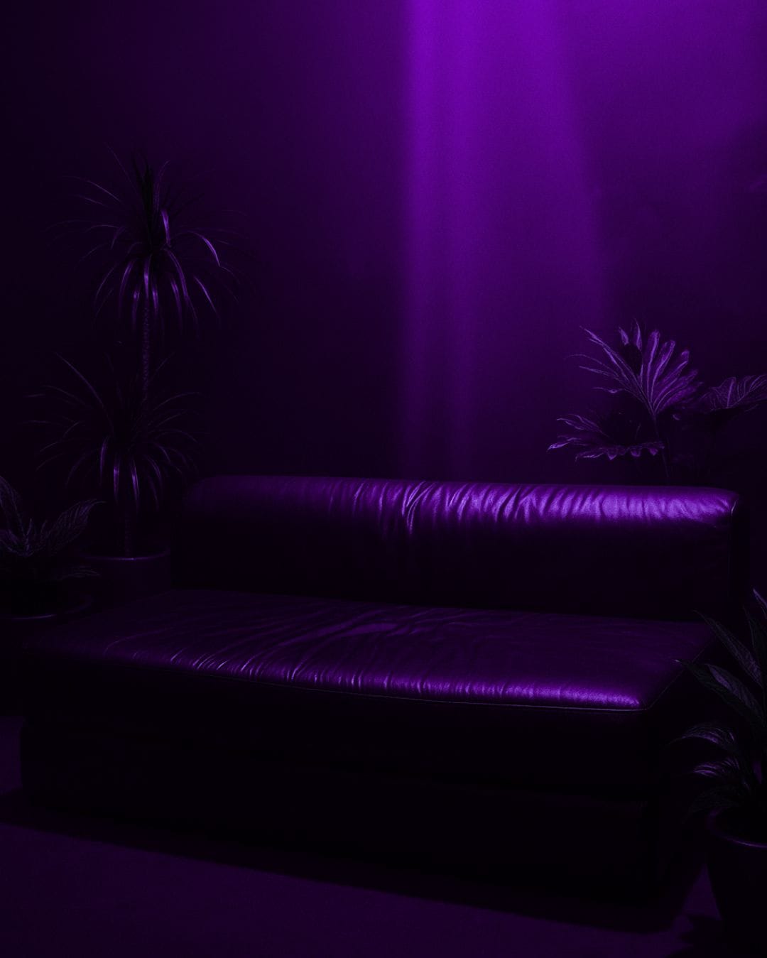 Hunter Club_ Purple (7)